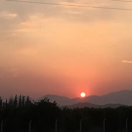Oda ve Kahvaltı Caktug